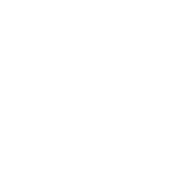 hm inspection icon 01